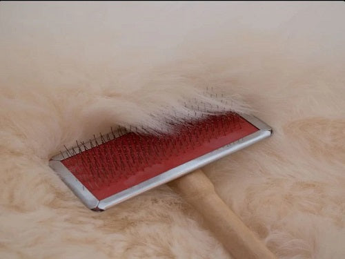Brushing a Woolous sheepskin rug with a slicker brush to restore soft fluffy wool.