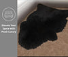 Woolous Black Genuine Sheepskin Rug(Single Pelt, 2x3 ft)