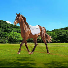 White Sheepskin Saddle pad