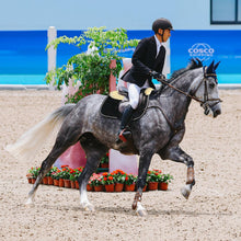 Black Dressage Sheepskin Saddle Pad