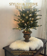Ivory Real Sheepskin Rug 2x3 ft | Genuine New Zealand Lambskin Throw